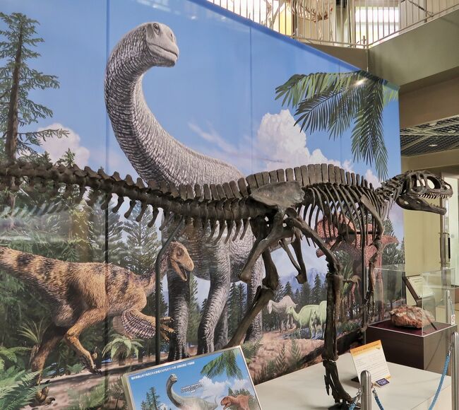 仙台21 東北大学理学部 自然史標本館a 化石 ステゴサウルス 恐竜の卵 古生物の跡 仙台 宮城県 の旅行記 ブログ By マキタン2さん フォートラベル 仙台21 東北大学理学部 自然史標本館a 化石 ステゴサウルス 恐竜の卵 古生物の跡 仙台 宮城県 の旅行記 ブログ By マキタン2さん フォートラベル