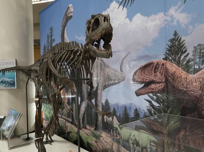 仙台21 東北大学理学部 自然史標本館a 化石 ステゴサウルス 恐竜の卵 古生物の跡 仙台 宮城県 の旅行記 ブログ By マキタン2さん フォートラベル 仙台21 東北大学理学部 自然史標本館a 化石 ステゴサウルス 恐竜の卵 古生物の跡 仙台 宮城県 の旅行記 ブログ By マキタン2さん フォートラベル