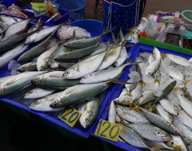 向かって右の小ぶりの魚．．．たぶんアジ　1Kg　120B　お買い上げ～