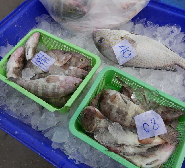 小さな魚だが一度買って食べたが美味しい、1盛り80Bは安くて良いね、今回はイカと蟹それにアジを買ったので見送った。