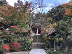 昨日ライトアップされていた薬王院温泉寺に改めてお参りに行きました。

紅葉が始まっていてきれいでした。