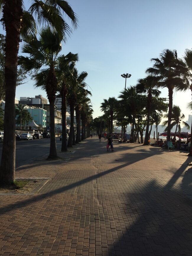 5日　16：42　近頃、朝晩、寒くてプールの水が冷たくなり泳ぎを控えていますのでせめて散歩でもしなければと頑張っています。