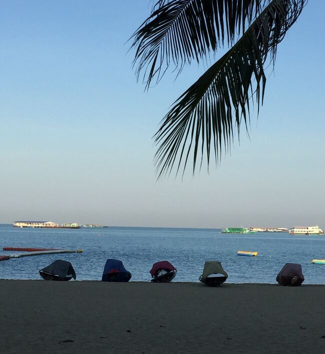 7日　7：45<br />今日の散歩はビーチロードを南下します。