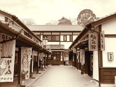熊本城 桜の馬場 桜の小路