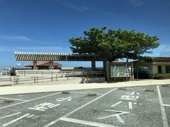沖縄・国頭郡本部町『国営沖縄記念公園 海洋博公園』

「マハイナ発」の海洋博記念公園シャトルバスは1つ目の
バス停「海洋博公園中央ゲート」に到着しました。

『ホテルマハイナ ウェルネスリゾートオキナワ』からとても近いです。
（徒歩の所要時間は約22分です。）

「中央ゲート」の最寄りの「東駐車場（バス専用）」なので、
『沖縄美ら海水族館』には少し離れた場所に停車します。

降りた瞬間、ここはどこ？状態になりました。
『沖縄美ら海水族館』へは何度か行ったことがあるのですが、
『海洋博公園』内にあり、こちらの施設が非常に広いんですよ（焦）。
ホームページのマップではわかりづらいし・・・。