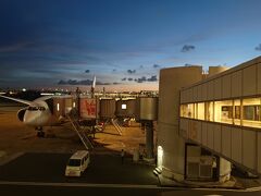 すっかり夕暮れに染まった羽田空港に到着です。
羽田新ルート、色々意見はありますが景色は非常に良かったです。またチャンスがあれば乗ってみたいルートでした。