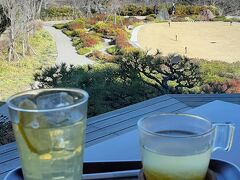 箱根駅伝の途中経過も見たかったので、２階の茶房・夢テラスで早速休憩。

ここでも富士山と駿河湾を見ながらのんびりと。

はちみつレモン茶を一つだけ頼んだのですが、なんか店員さんが間違えた模様。
まぁいいやｗ
