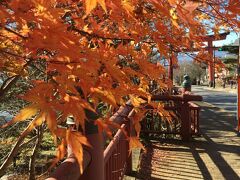 展望台からは、一面の中禅寺湖を眺められ
降りると綺麗な紅葉が沢山ありました