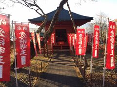 日光山中禅寺立木観音