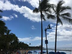 ビーチ全体に多くの人がいます。