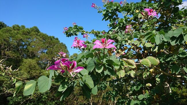途中から晴れて良かったね。<br /><br />朝の天気だと雨ゴルフかっ！？と思ったよ。