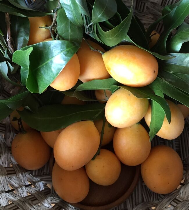 マ.プラン　初めて買って食べました1Kg　100B　日本のビワ位の大きさで中に大きめの種があり上品な甘みが特徴かな。