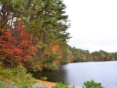 ★柳沼

歩き始めて最初に現れるのが〈柳沼〉。
赤く色づいた木々が湖畔を取り巻いています。
