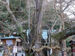 2日なら空いてるだろうとのことで伊那下神社へ

毎年お札もらってるんでここも止められません