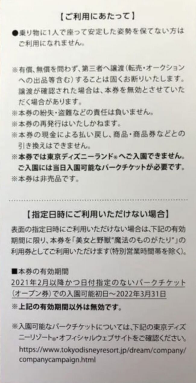 美女と野獣、ミニーのスタイルスタジオ利用券 2022年3月まで有効-