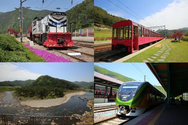 明日はV-トレイン、O-トレインに乗車します。<br />2015年GW O-トレイン V-トレインで行く韓国鉄道の旅（3）V-train O-train乗り鉄編  <br /> https://4travel.jp/travelogue/11013242