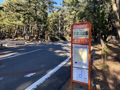 沼津駅前からバスに乗って千本浜公園というバス停で降りました。