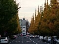 神宮外苑の銀杏並木