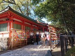 大宮公園東駐車場に車を停めて氷川神社へ向かいます。
この駐車場から行くと参道を通って正面からではなく、サイドから本殿に向かうかたちとなりました。