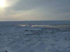 知床半島は流氷が迫ってきてました。