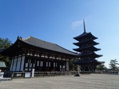 歩いてまずは興福寺。

人いなすぎ…。