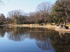 せせらぎ公園
穏やかな日差しののどかな風景です。