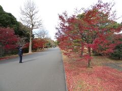 山下通りの緩い下り坂を下った先で乾通りに合流。乾通りには桜やモミジが植えられていて、春と秋に一般公開されている（令和2年の春・秋、令和３年の春はともに新型コロナウイルス感染症の感染拡大防止の観点から公開中止）。今回参加した皇居参観では、乾通りの通り抜けはせず、桔梗門方面へ戻る際に南端部を歩くだけ。