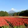 鳥取・伯耆（ほうき）地方・絶景の旅