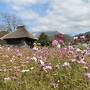 鳥取・伯耆（ほうき）地方・絶景の旅