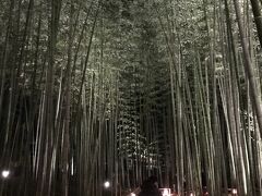 竹林の散策路