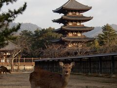 　　16:15  陽が傾いてきた、そろそろ帰りますか