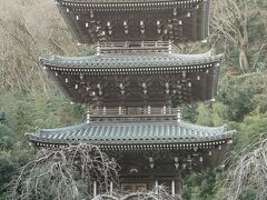 帰り道に浄発願寺に寄り道。昭和の建物だが三重塔が見事