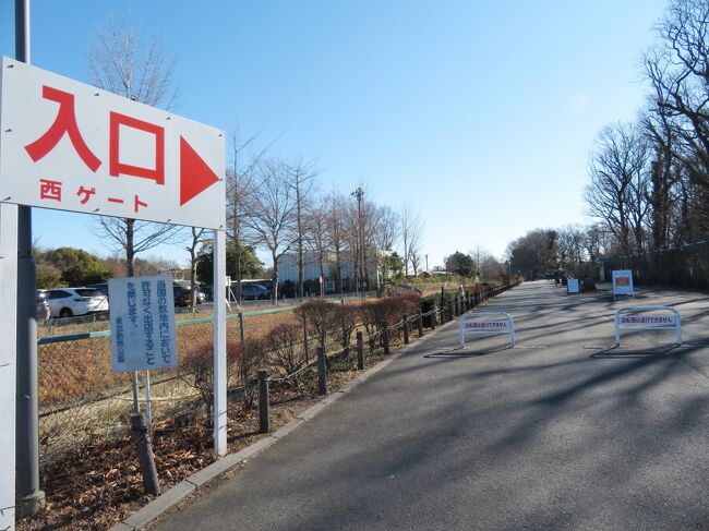 車で２度目の冬のイルミネーションの東武動物公園 １ 今度こそ西口ゲートからアクセス 動物ランタンと光の冬の桜並木のウィンターイルミネーション 蓮田 白岡 埼玉県 の旅行記 ブログ By まみさん フォートラベル