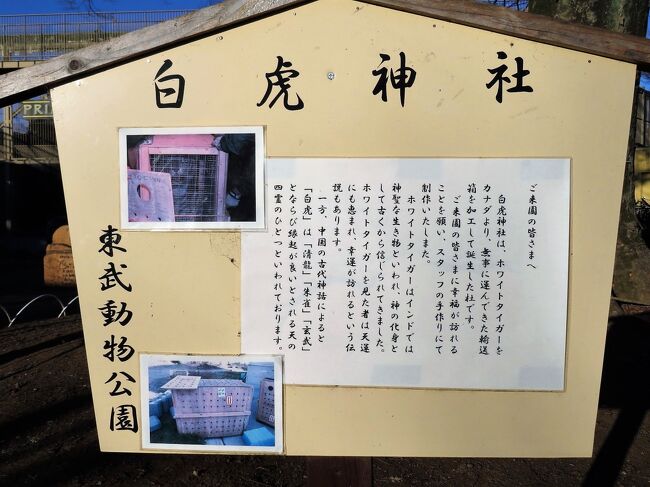 車で２度目の冬のイルミネーションの東武動物公園 １ 今度こそ西口ゲートからアクセス 動物ランタンと光の冬の桜並木のウィンターイルミネーション 蓮田 白岡 埼玉県 の旅行記 ブログ By まみさん フォートラベル