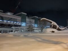 　そして福井駅恐竜広場の恐竜が埋もれています。3年前の大雪の時にもtwitterで話題になったのですが、まるで氷河期、恐竜絶滅の様相です。