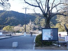 　吉香公園、この周辺には史跡が並んでいます。