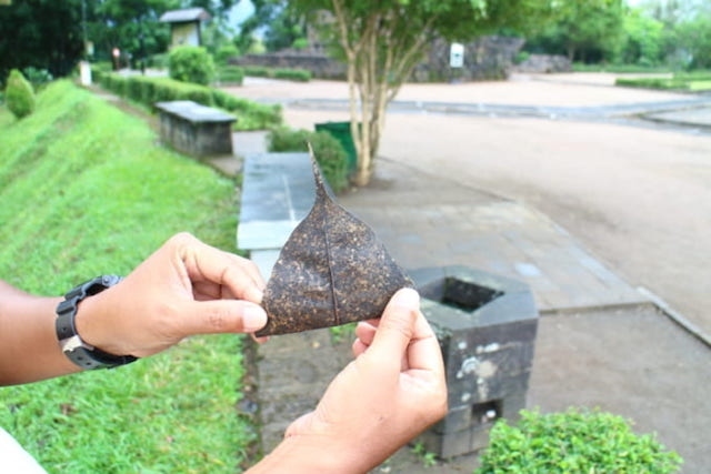 ガイドが葉っぱを取って<br />「ボロブドゥールです」と....^^