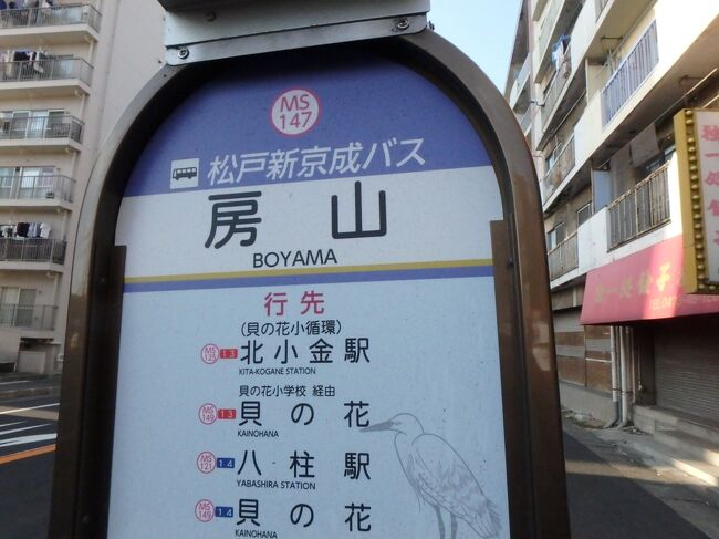いまさらながらのテラスモール松戸 松戸 千葉県 の旅行記 ブログ By おみヴぉ333さん フォートラベル