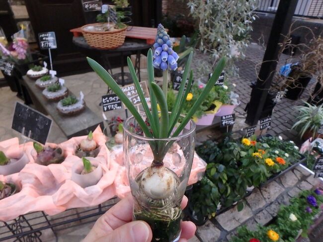 いまさらながらのテラスモール松戸 松戸 千葉県 の旅行記 ブログ By おみヴぉ333さん フォートラベル いまさらながらのテラスモール松戸 松戸 千葉県 の旅行記 ブログ By おみヴぉ333さん フォートラベル