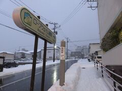 雪がしんしんと降っているわけですが