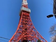 一年ぶりの東京タワー
今回はおやつを食べてすぐに退散

けっこうイイ角度の写真が撮れたナ(＾＾)