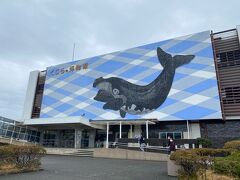 循環バスで降りたのは、
くじらの博物館。

見学しているうちに、
雨雲が抜けるだろう作戦。