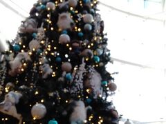 久しぶりに羽田空港へ向かいます。11月には早くもクリスマスツリーが。

コロナ禍で減便されているようでしたが、羽田空港へはリムジンバスを利用すると楽ちんです。