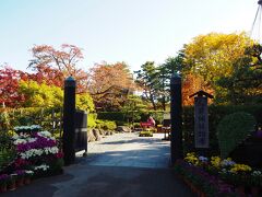 菊まつりは弘前城植物園で行われてます
植物園に入る予定ではなかったから、天守とのお得なセット券を購入してなかったので、ちょっと損した気分