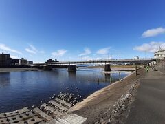 目の前にこのように悠々とした長良川を眺めることができます。