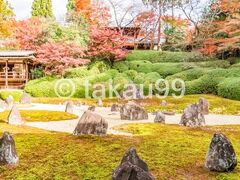 光明院（東福寺塔頭）