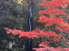 この階段で振り返ると、瓶子（みすず）の滝が見えました。