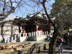 巨木の向こうに建っているのが、洲崎神社の本殿です。