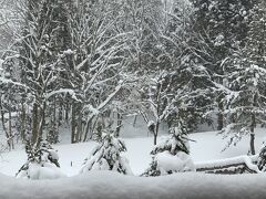 12月19日
テラスからの和田野の森の雪景色。