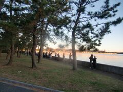 野島山の北側の、旧伊藤博文金沢別邸の建つ海岸沿いの松林に、密を避けて日昇を待つ参拝者が多数。
海岸には横浜市では唯一となった海苔のひびが見え、横浜市内陸部や北部には無い優れた景観である。